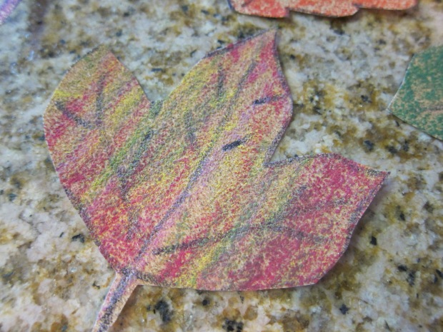 Sandpaper Leaves (8)
