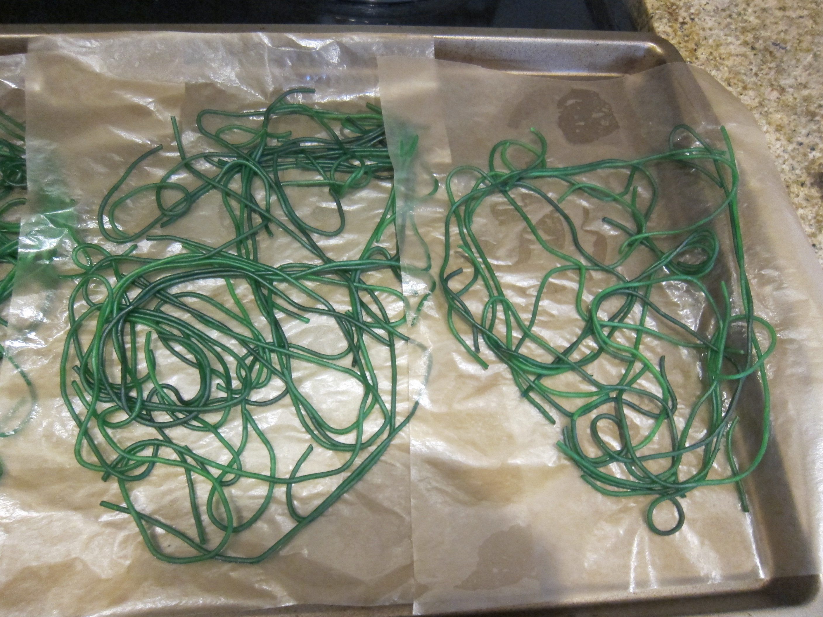 Spaghetti Spider Web (9)